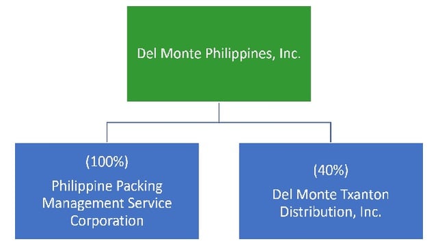 DMPI-corporate-ctructure-map-998685-edited